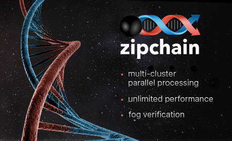 Zipchain details